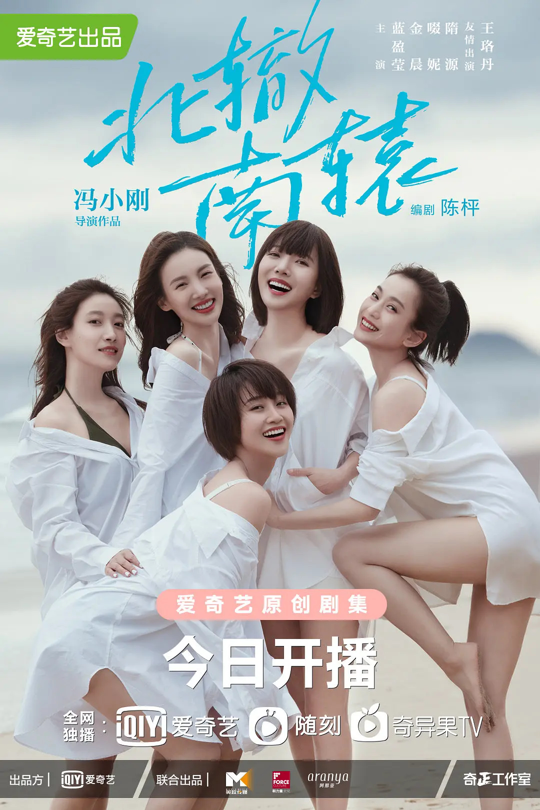 電視劇《北轍南轅》